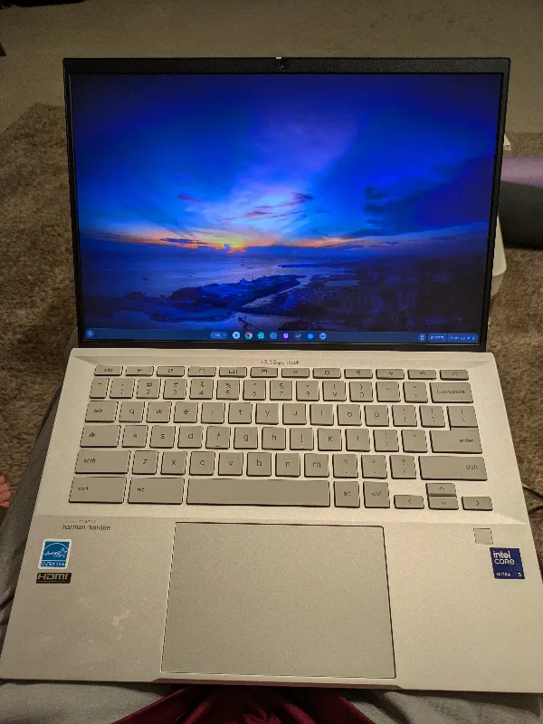 ASUS ExpertBook CX54 Chromebook Plus